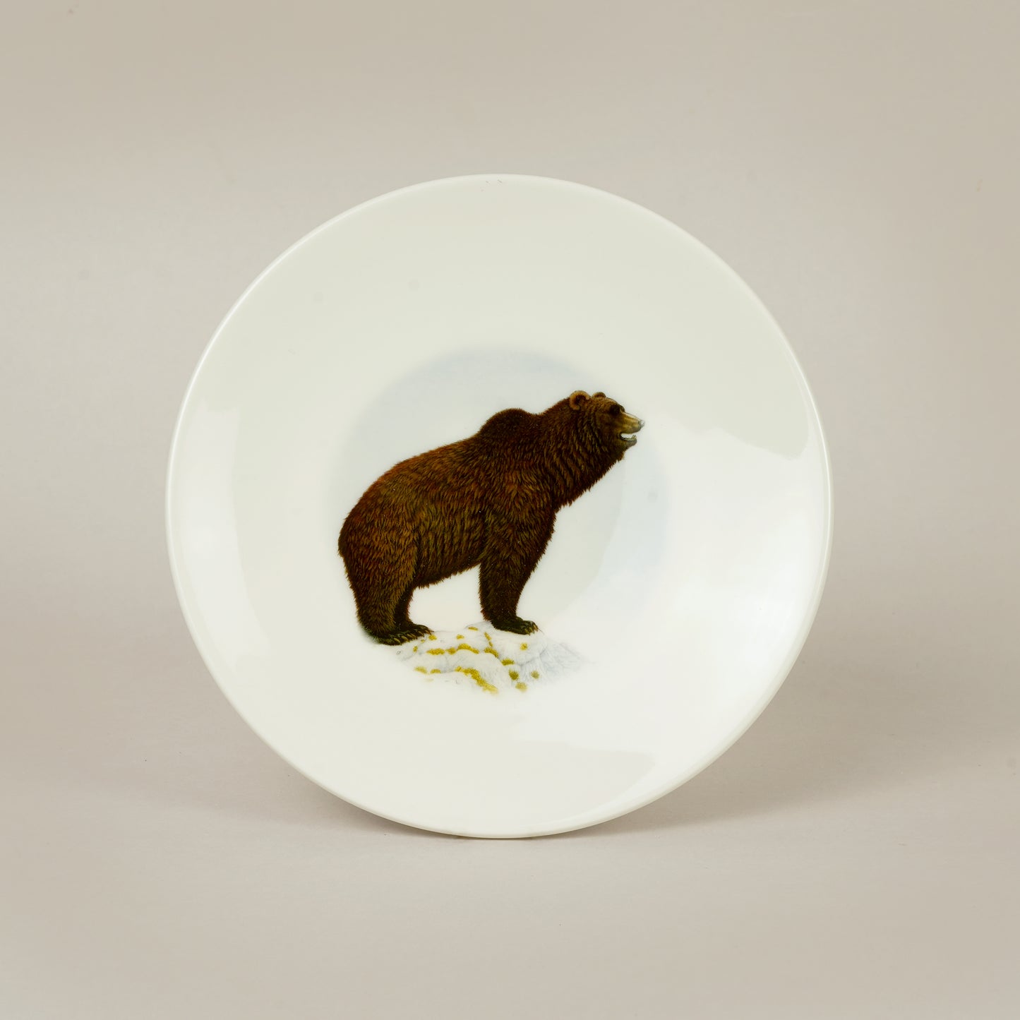 C6. Bear