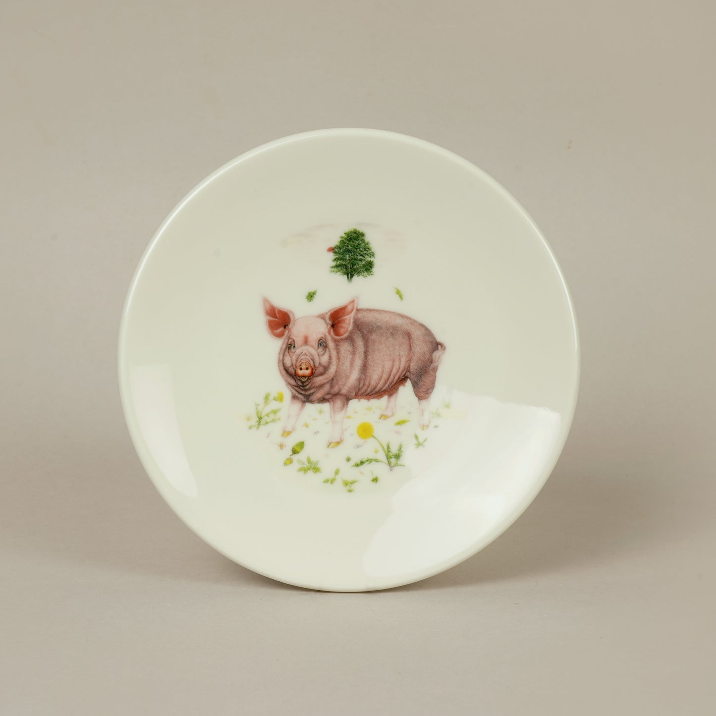 C3. Pig