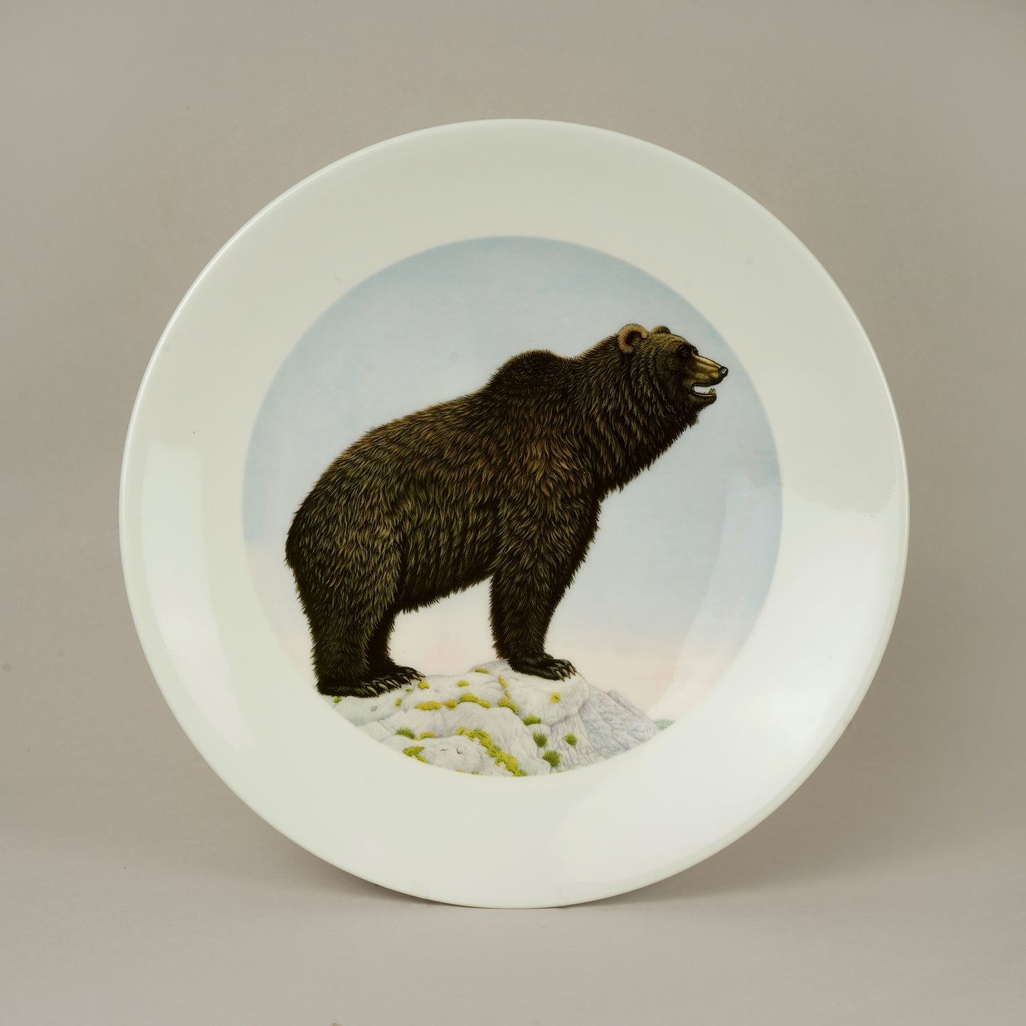 C6. Bear