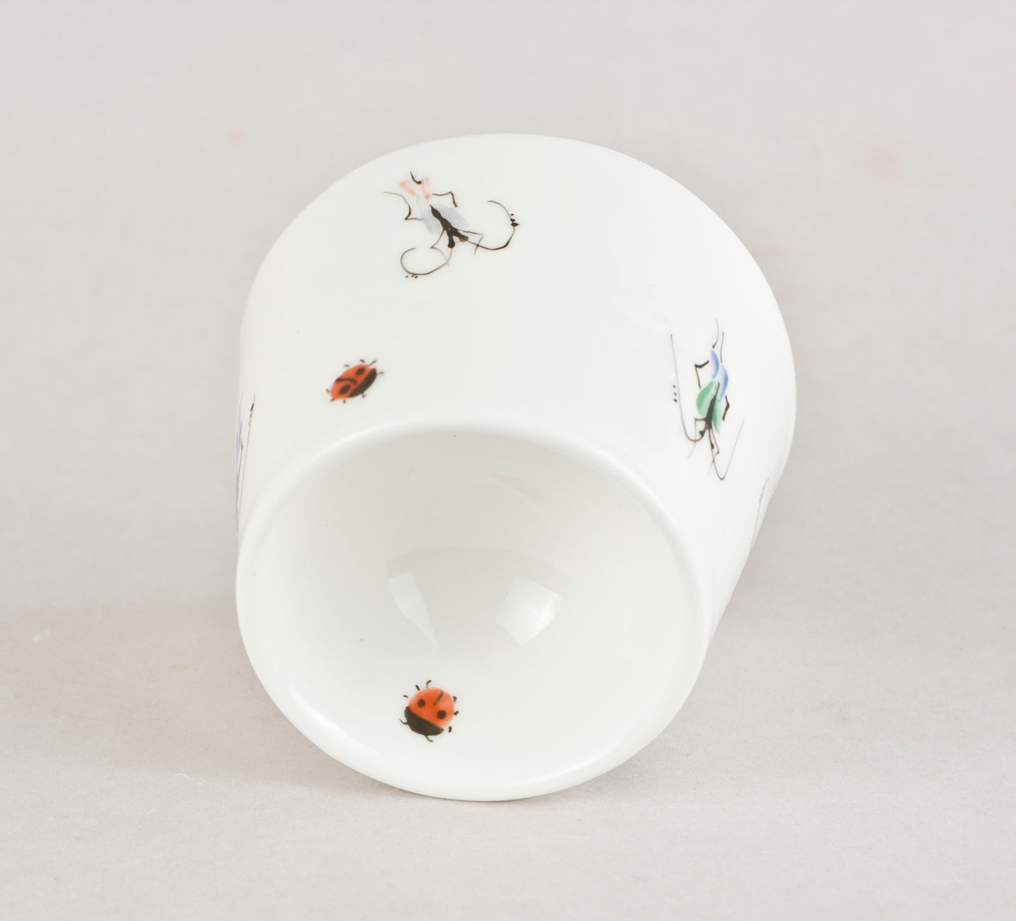 Beetle 6.7. Egg holder