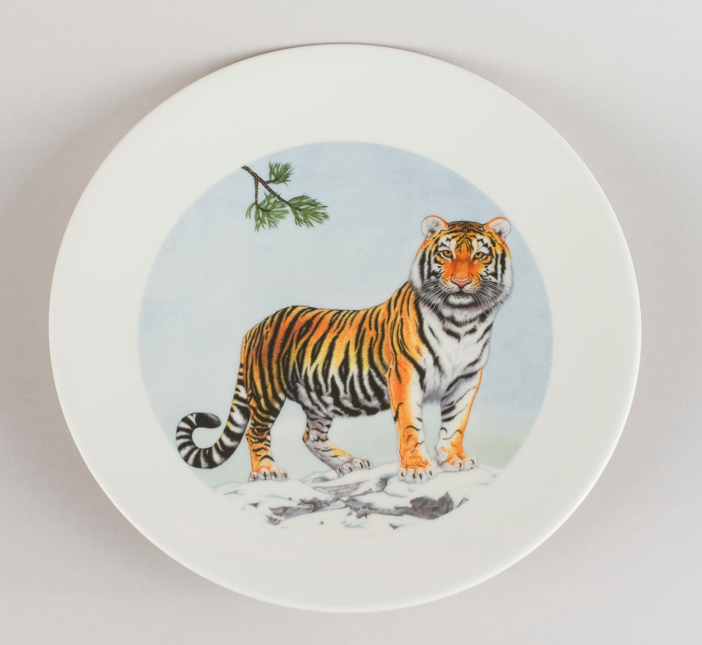 C7. Tiger