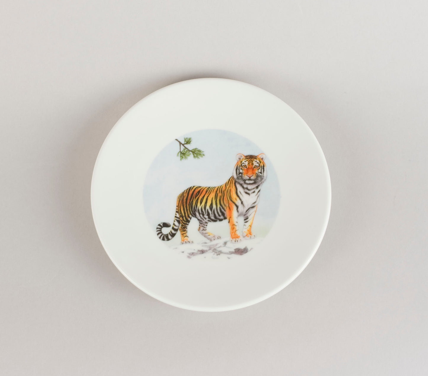 C7. Tiger