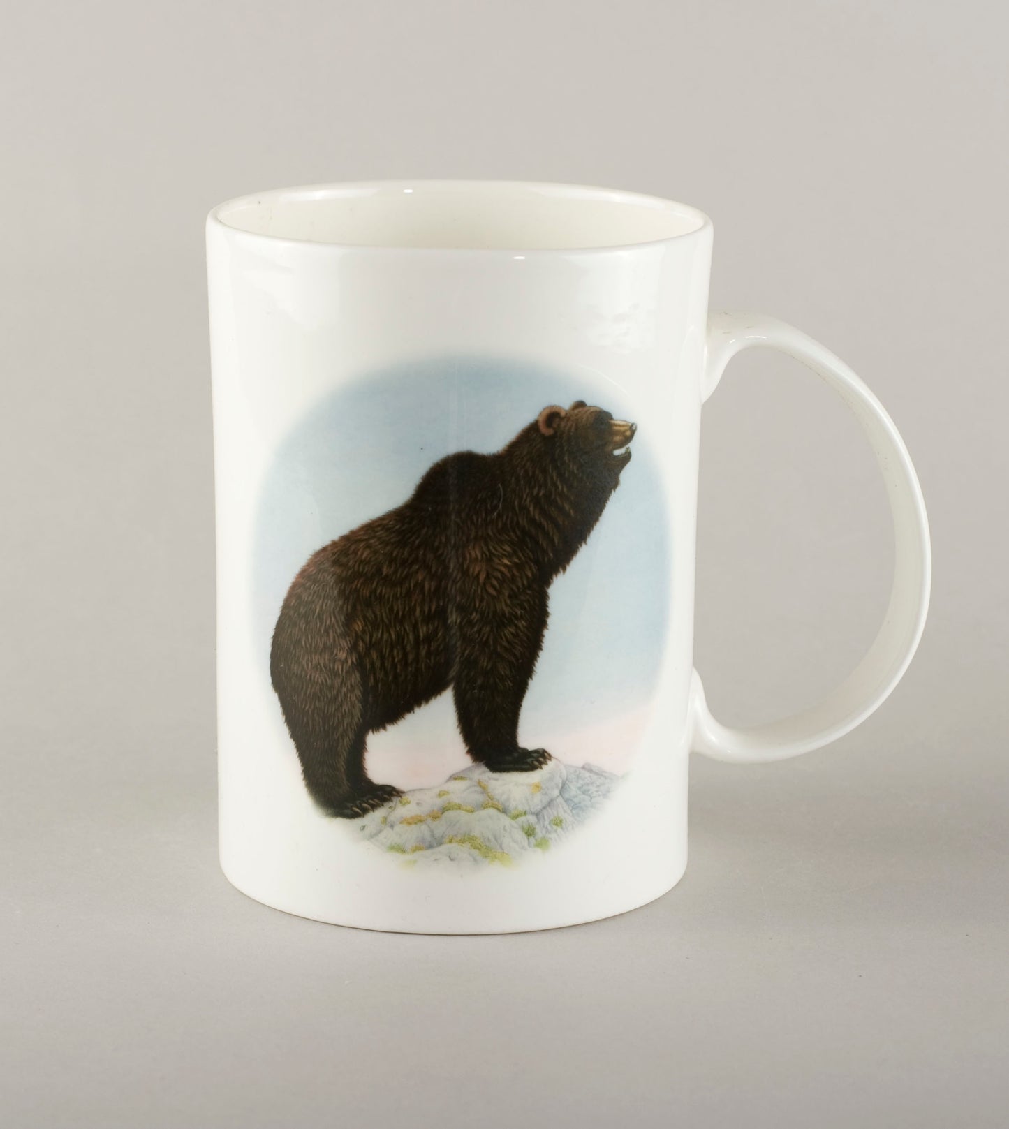 C6. Bear