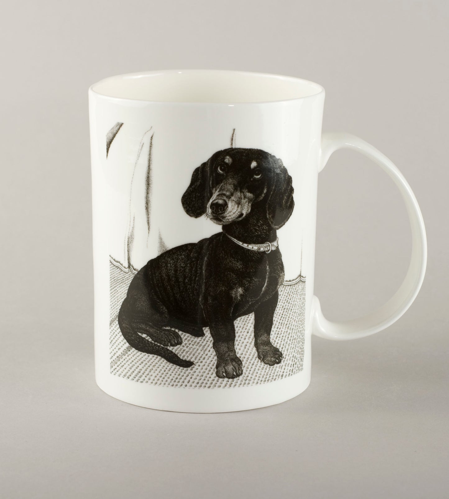 S3. Dachshund