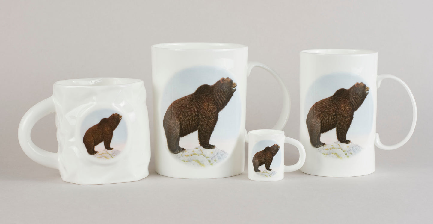 C6. Bear