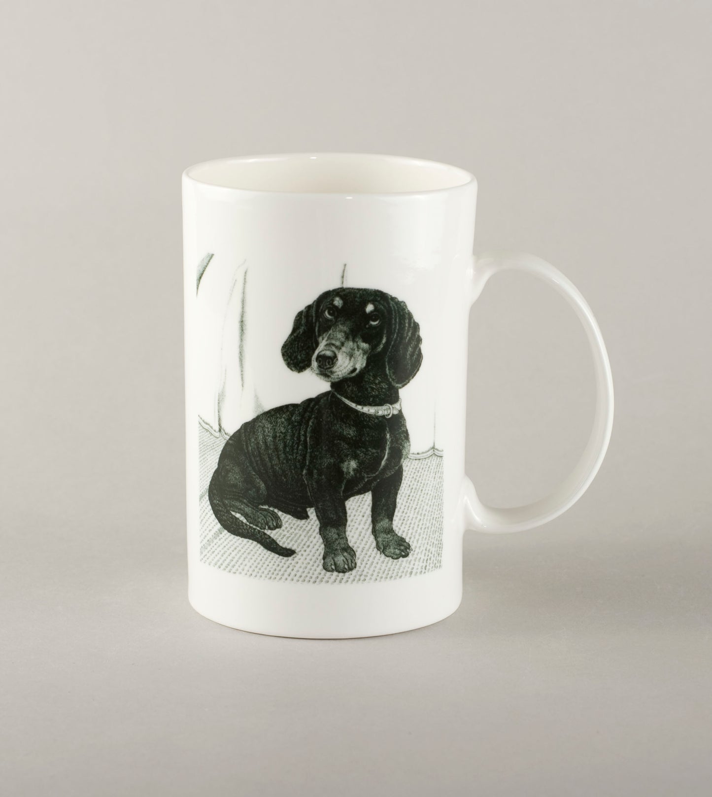 S3. Dachshund