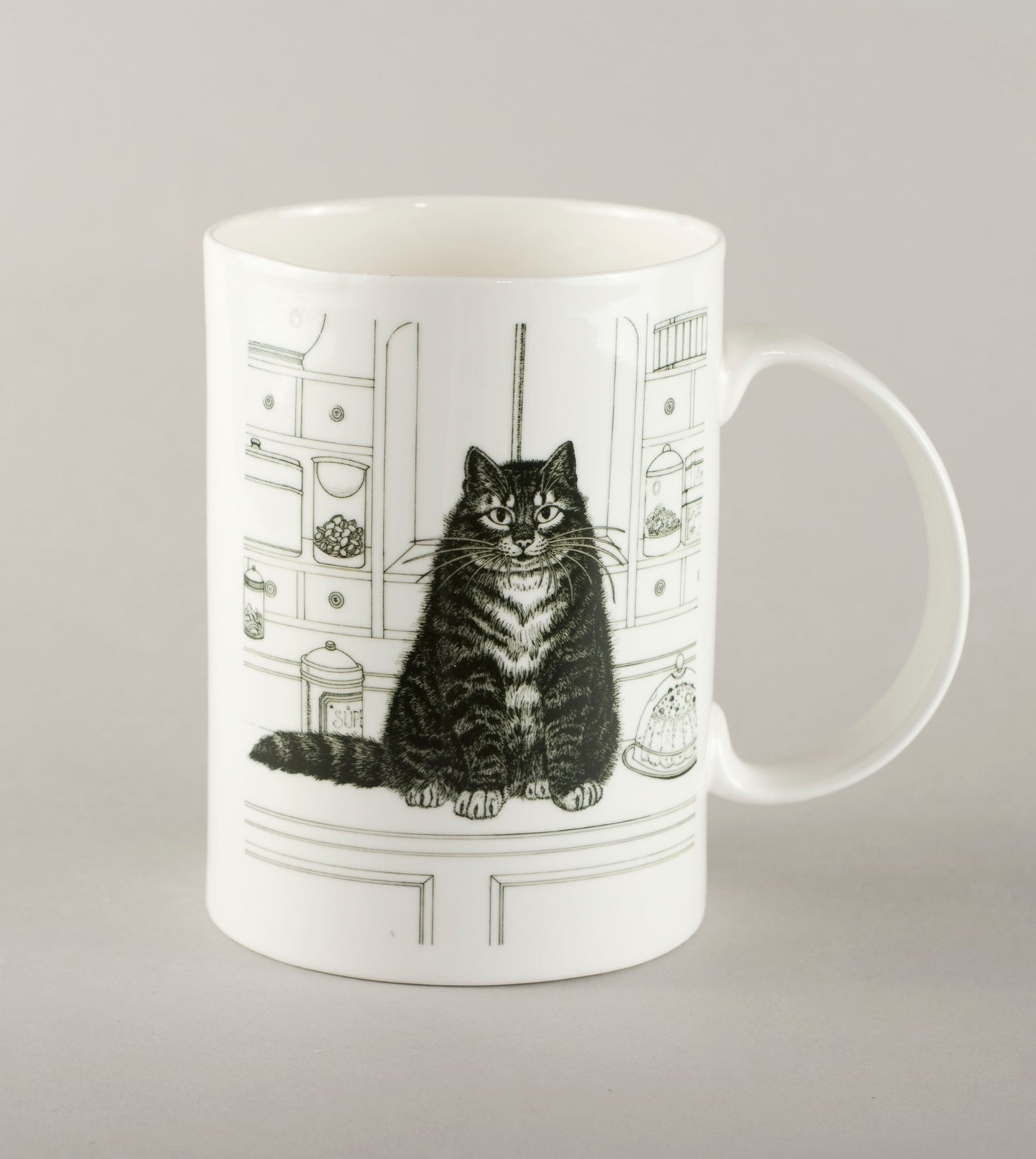 K4. Cat in the kitchen