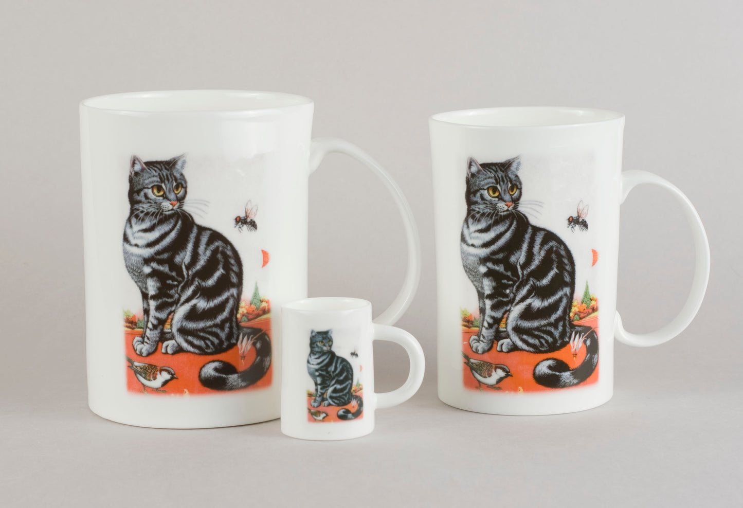 K7. Cat striped