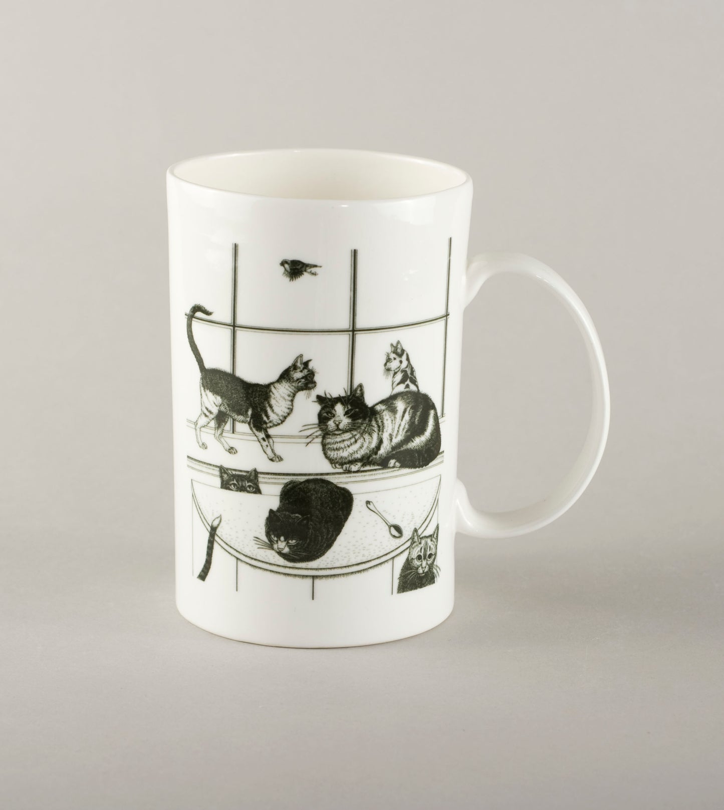 K5. 5 cats