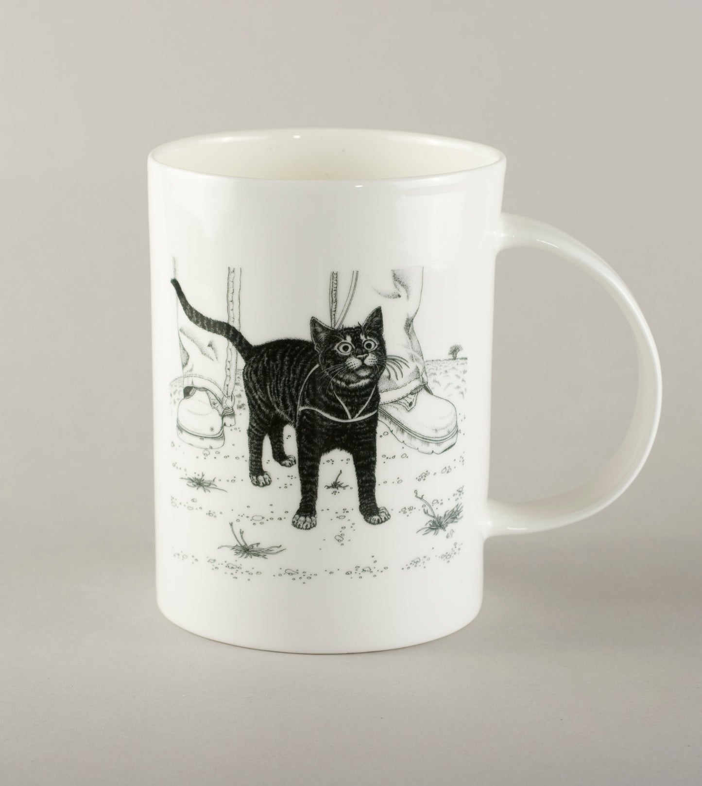 K6. Cat at your feet