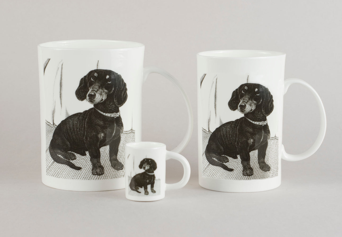 S3. Dachshund