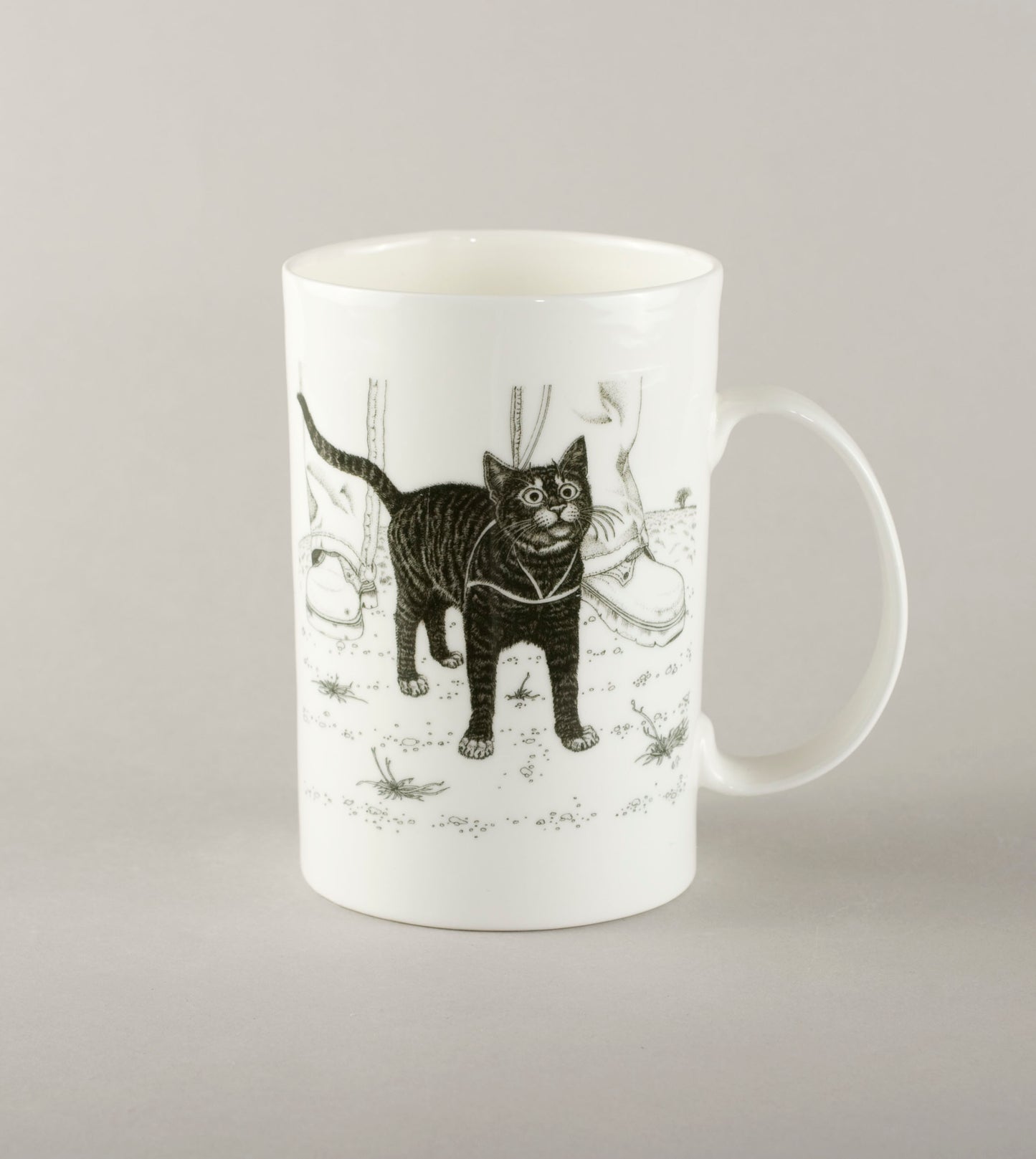 K6. Cat at your feet