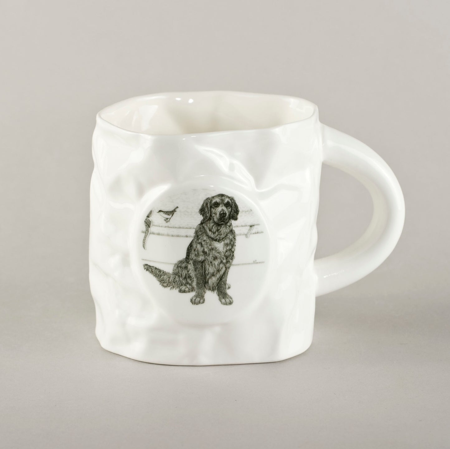 S2. Dog with a bird