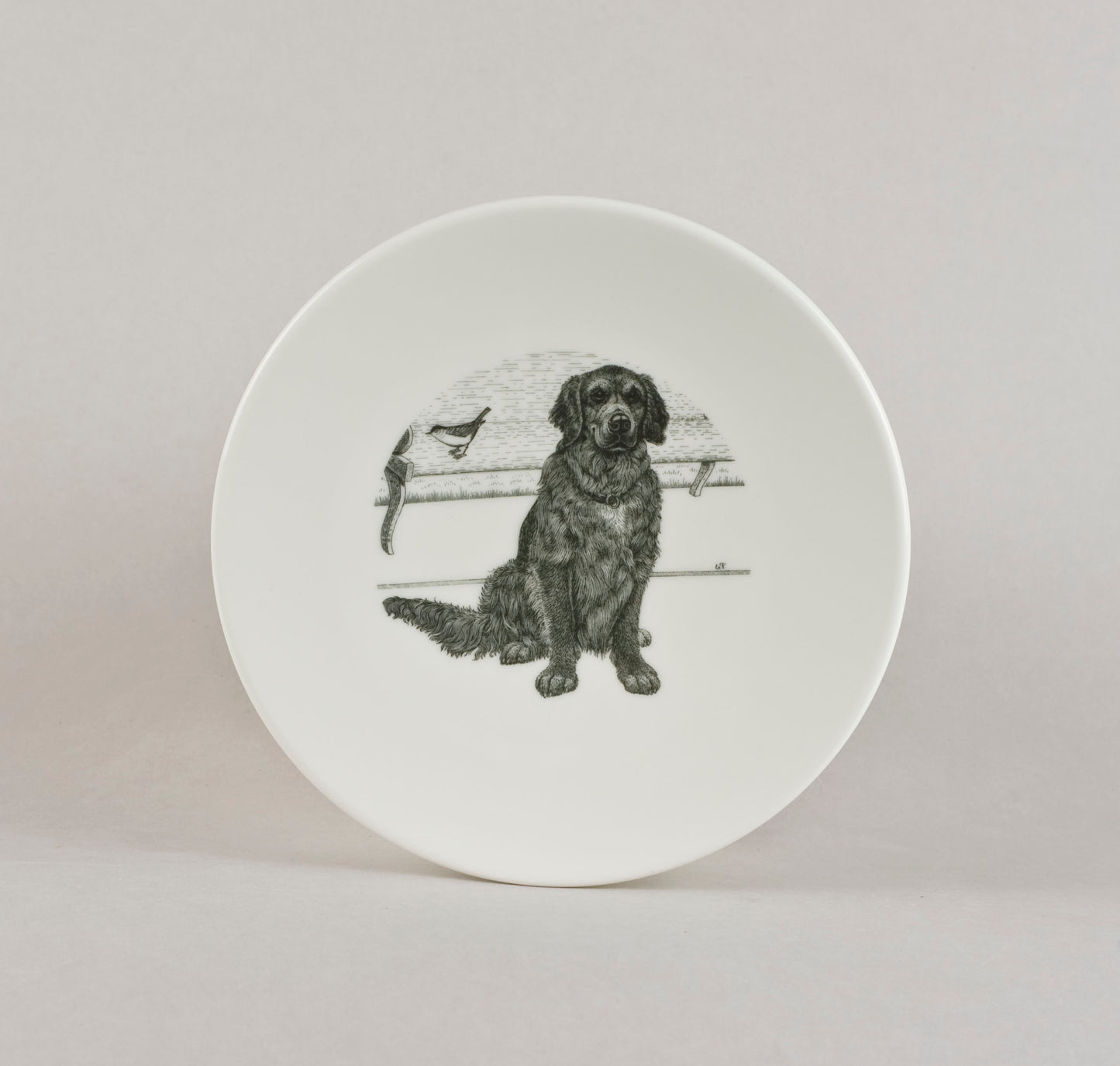S2. Dog with a bird
