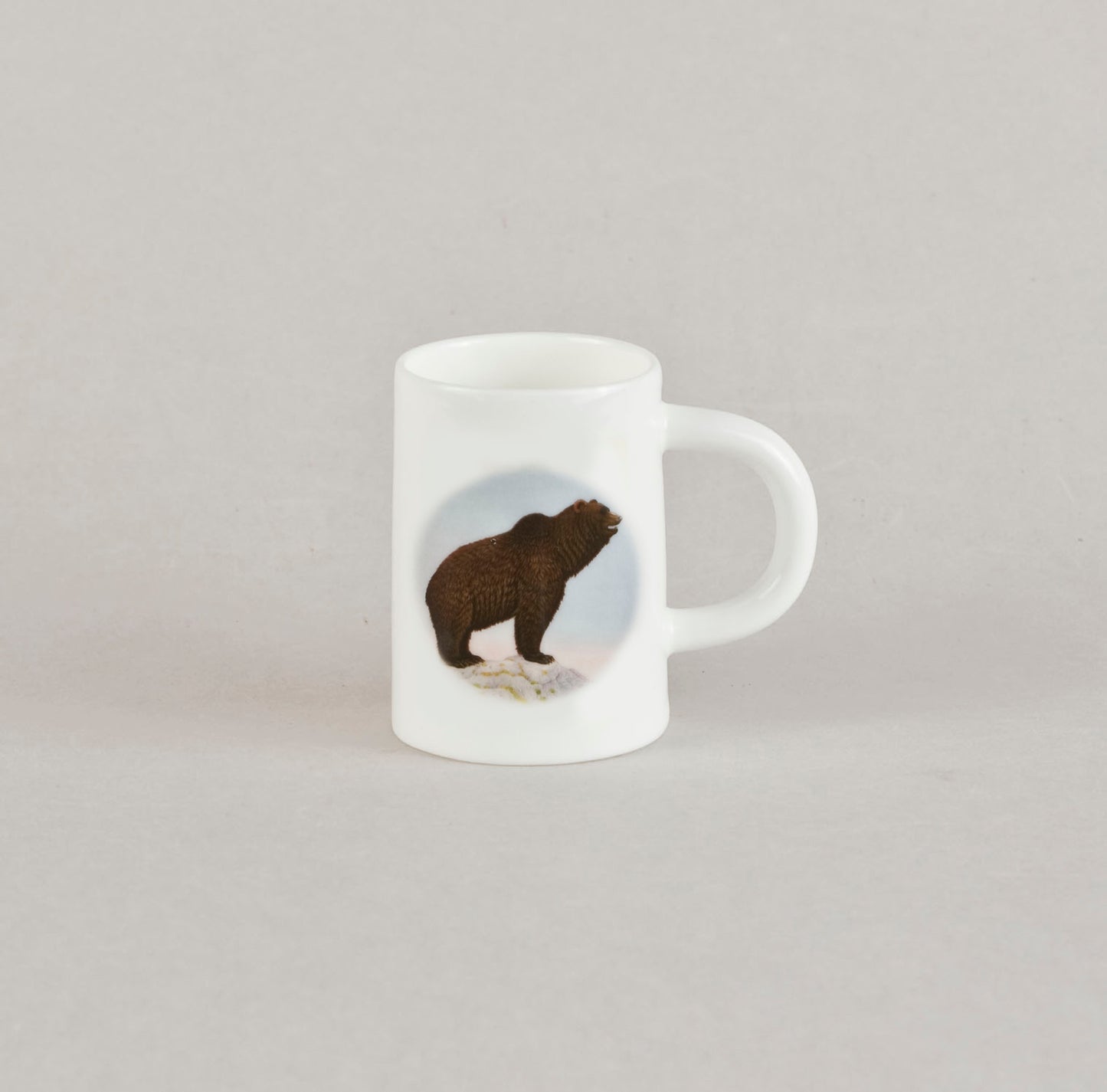 C6. Bear