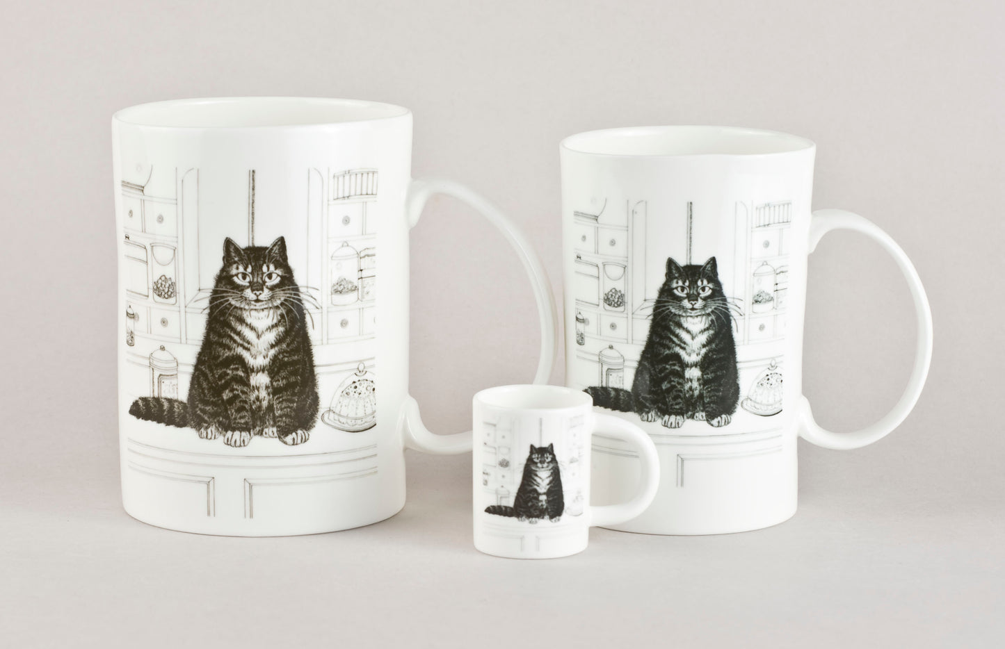 K4. Cat in the kitchen