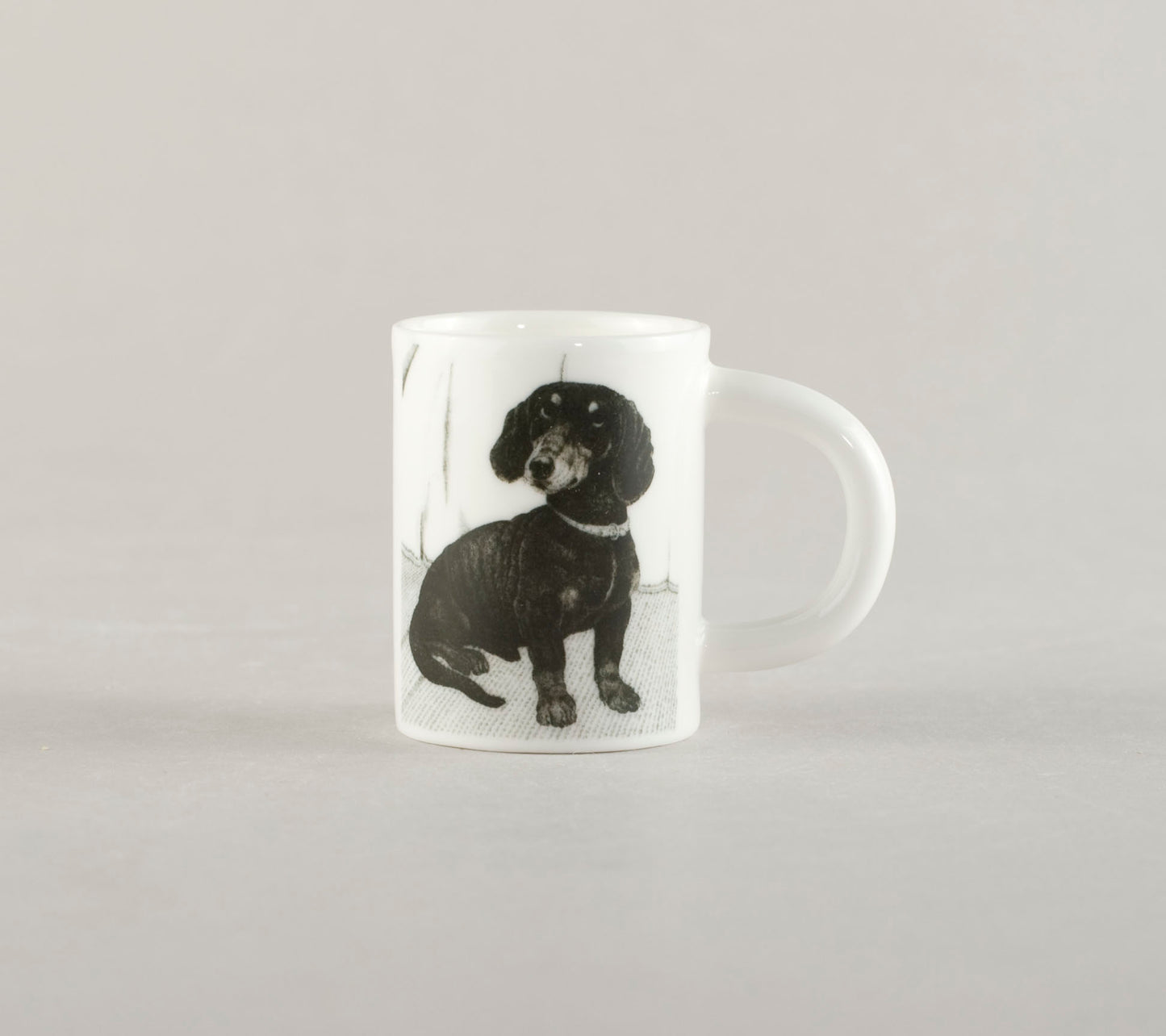 S3. Dachshund