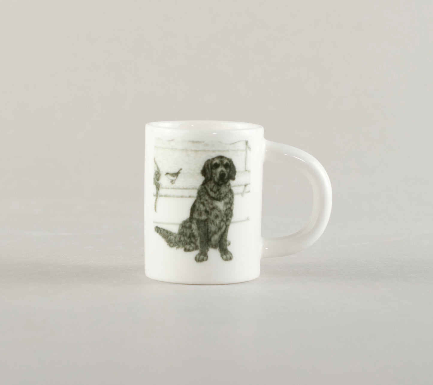 S2. Dog with a bird