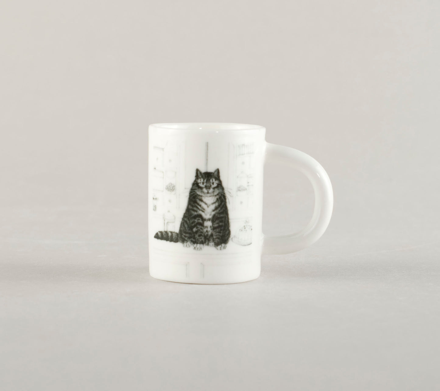 K4. Cat in the kitchen
