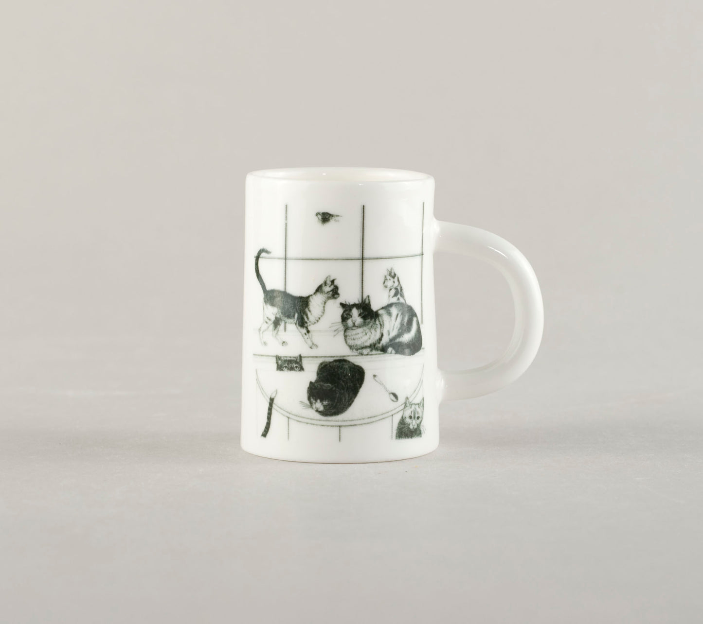 K5. 5 cats