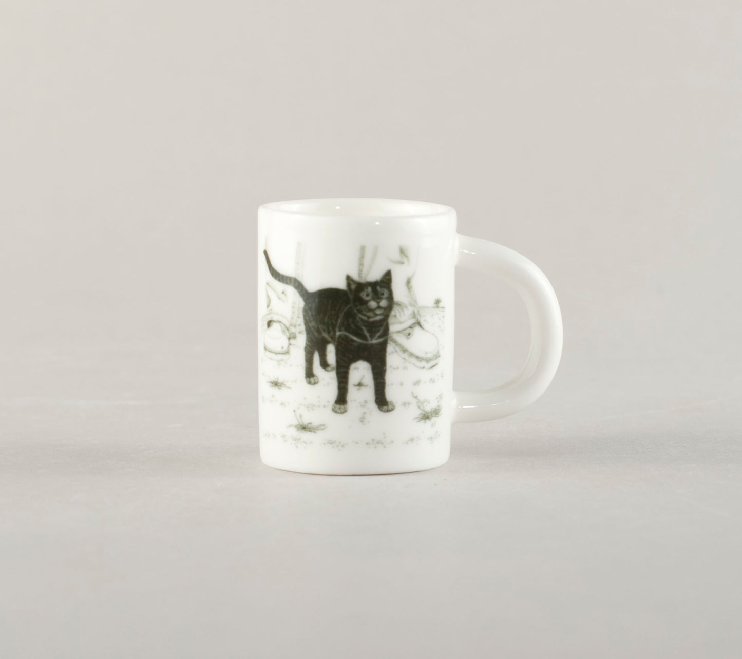 K6. Cat at your feet