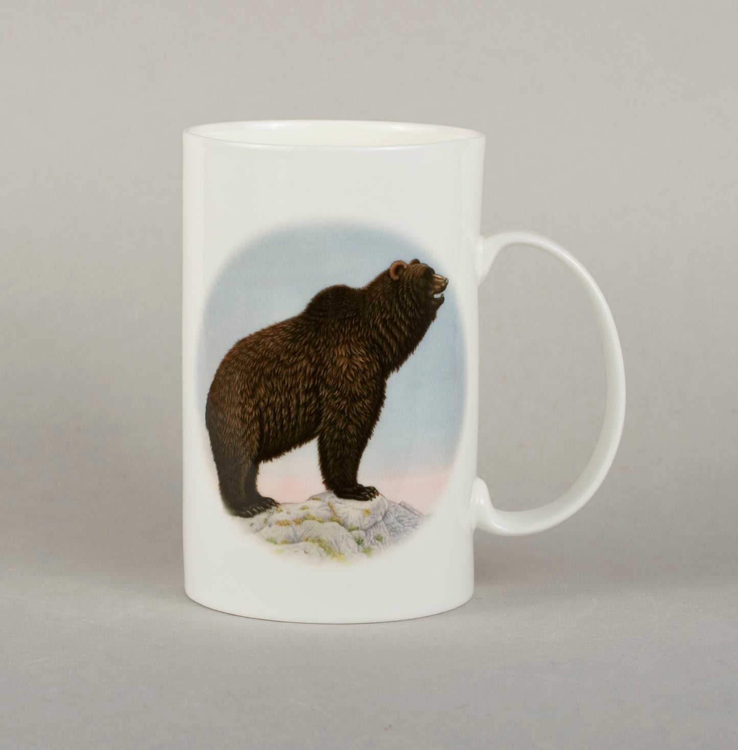 C6. Bear