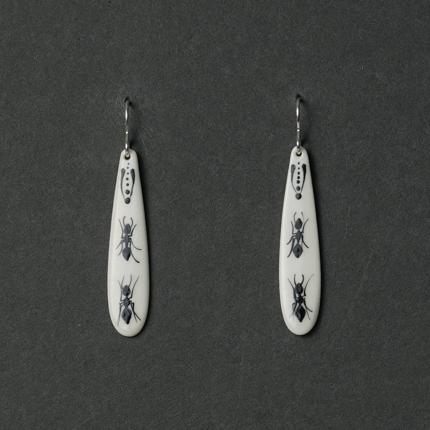 Kukaiņi. 2.9. Lāsītes auskari tievi, gari