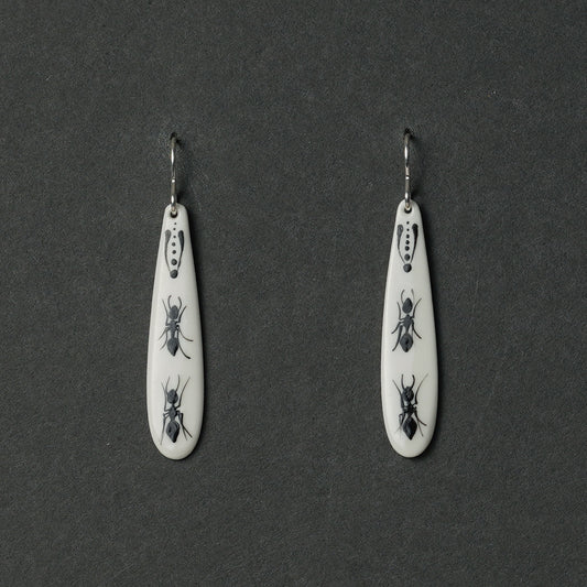 Kukaiņi. 2.9. Lāsītes auskari tievi, gari