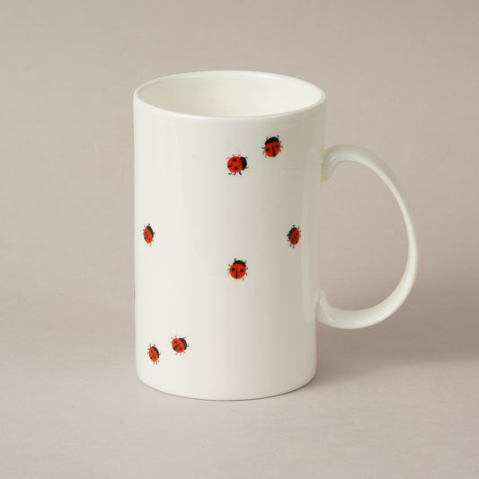 Kukaiņi 4.8. Cilindrs vidējais