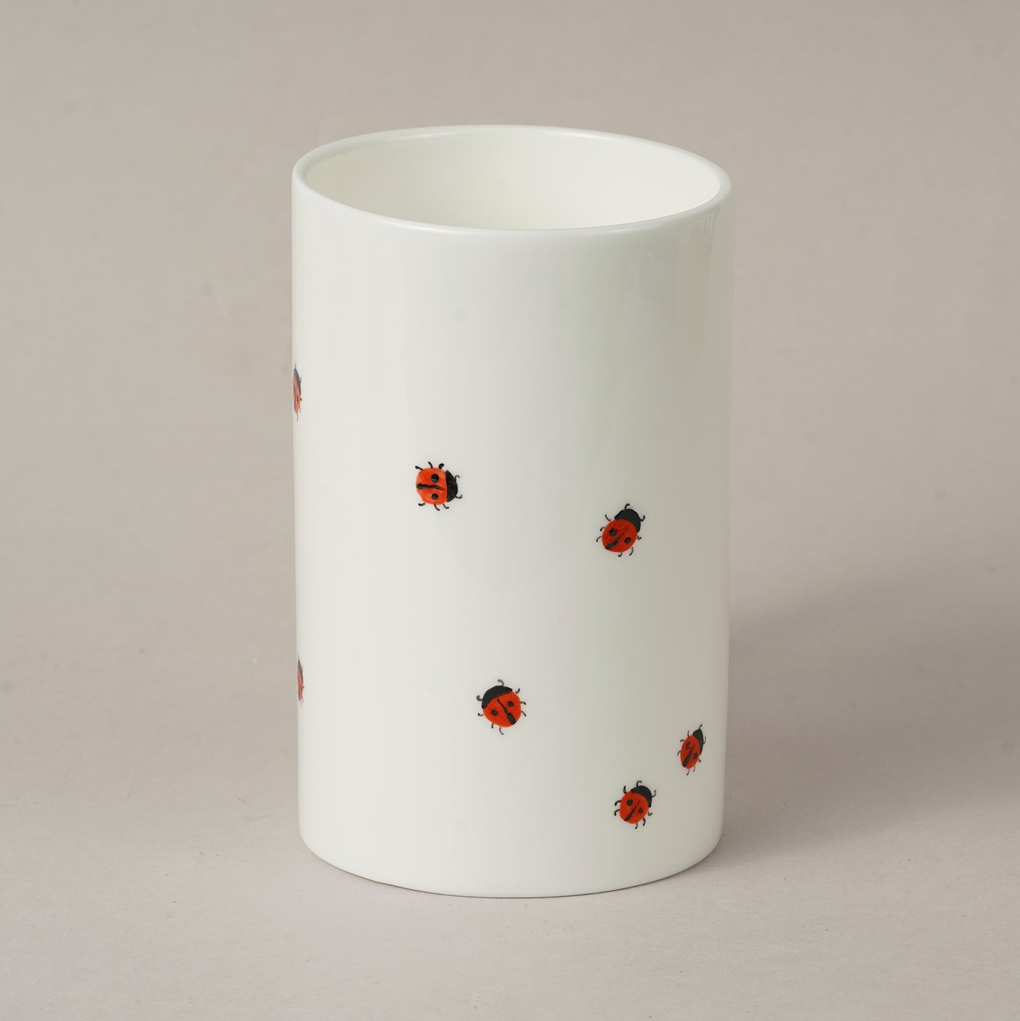 Kukaiņi 4.8. Cilindrs vidējais