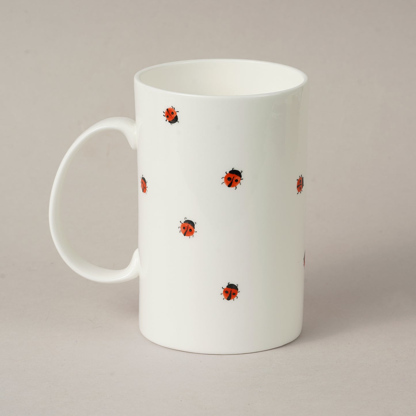 Kukaiņi 4.8. Cilindrs vidējais