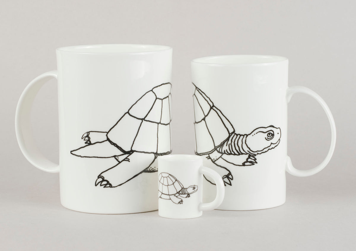 Turtle
